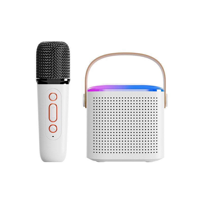 JNGadjet Portable Wireless Karaoke Speaker with 2 Mics & RGB Lights